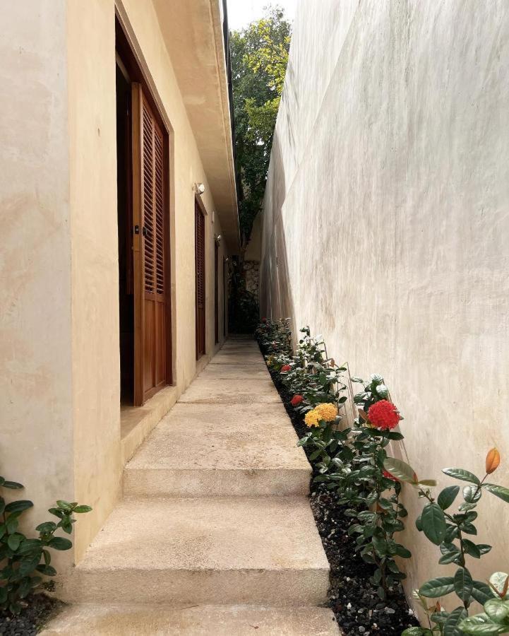 Bajo Las Hojas Campeche Extérieur photo